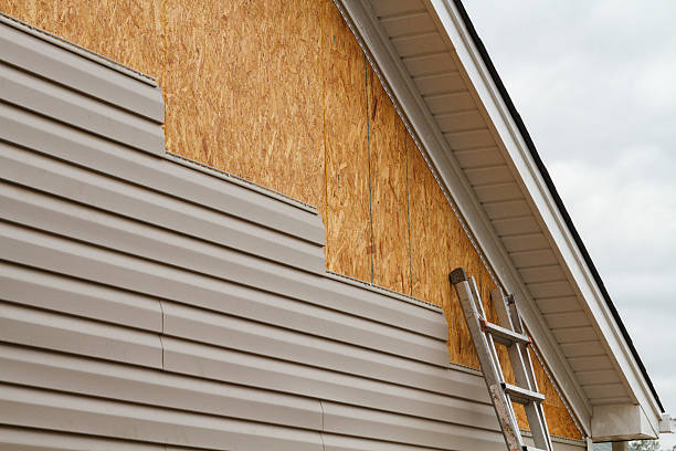 Professional Siding Inspection technician working in Sophia, WV